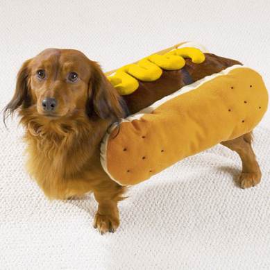hot-dog-mustard-small_1_2